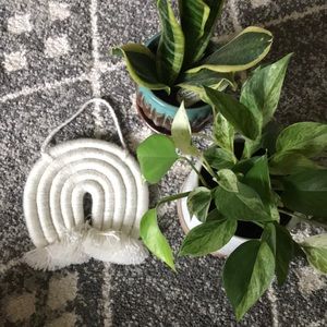 *BOHO* Rainbow wall art